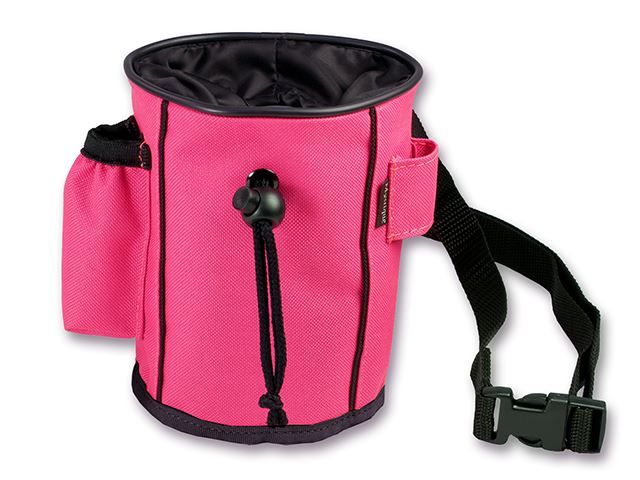 Mystique Beloning Zak Reflex Roze