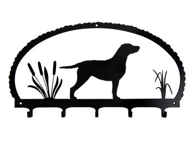 Sleutelrek Curly Coated Retriever