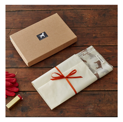 The Labrador Company Sjaal Cashmere Bruin