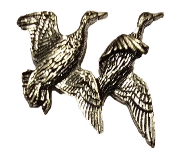 Pin Eenden Tin