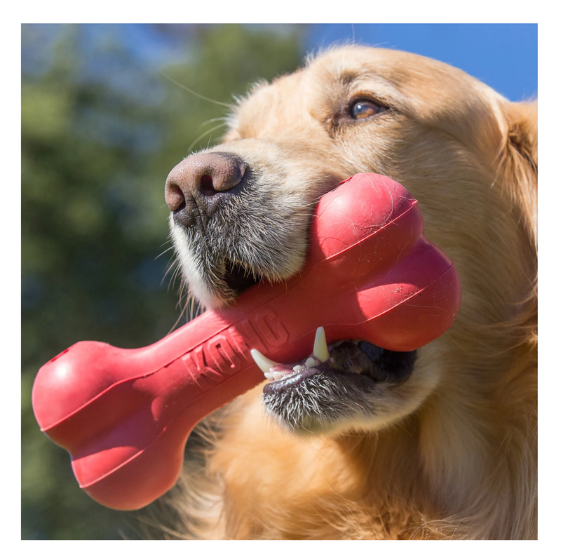 Kong Goodie Bone