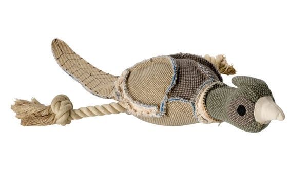 Hunter Bird Canvas