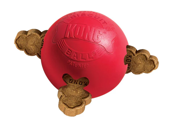 Kong Biscuit Ball
