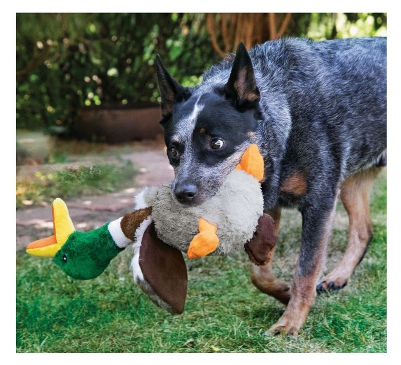 Kong Shakers Honkers Duck