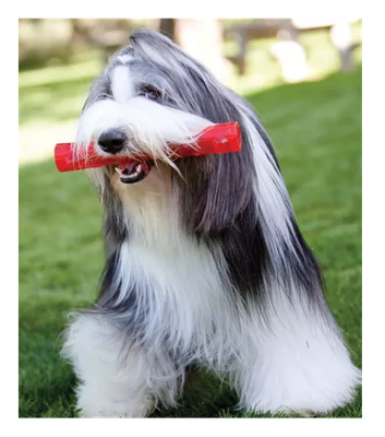 Kong Squeezz Stick