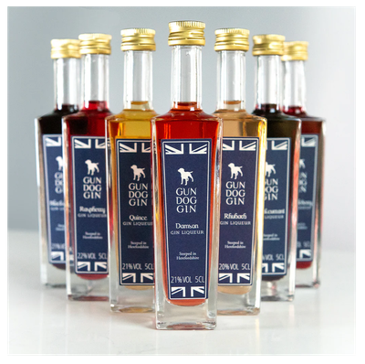 Gundog Gin Gift Box