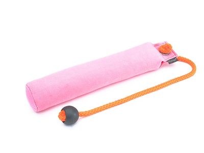 Mystique School Dummy 300 Gram Roze