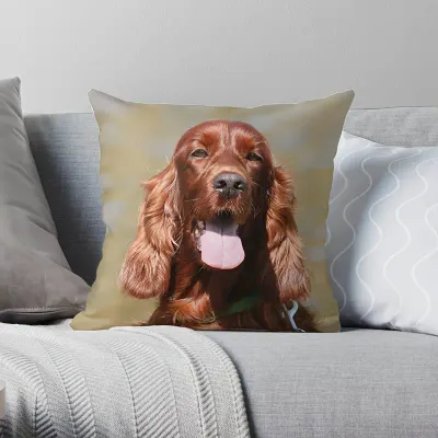 Kussenhoes Ierse Setter