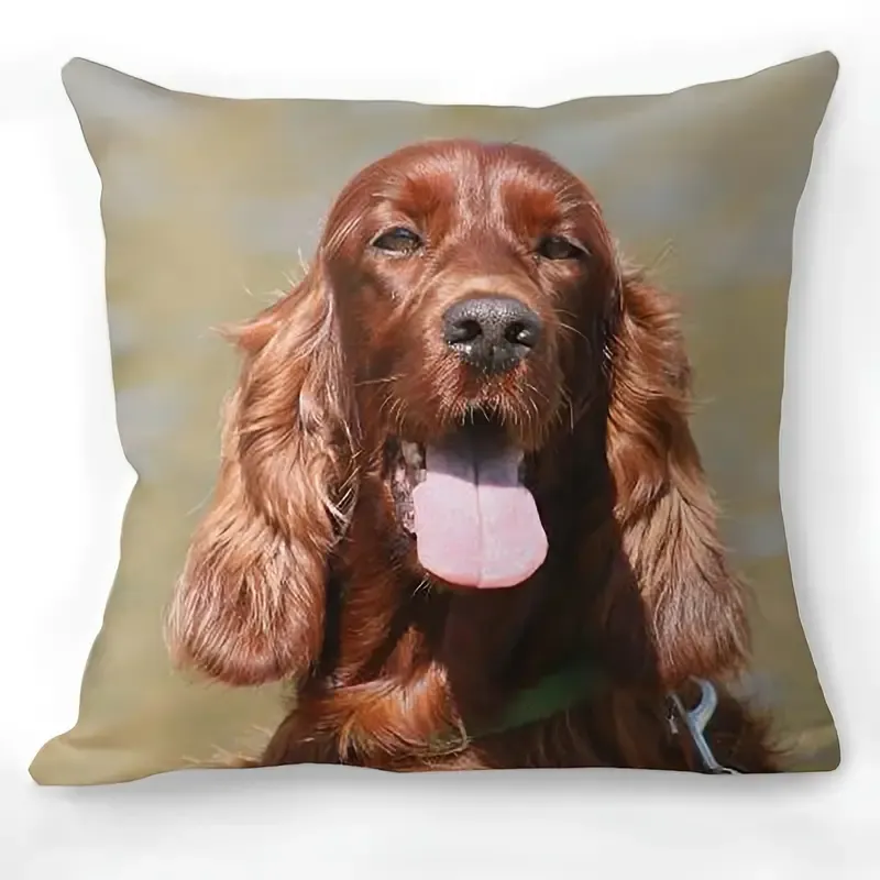Kussenhoes Ierse Setter