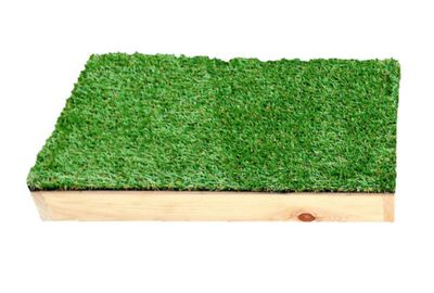 Sporting Saint Placeboard Gras