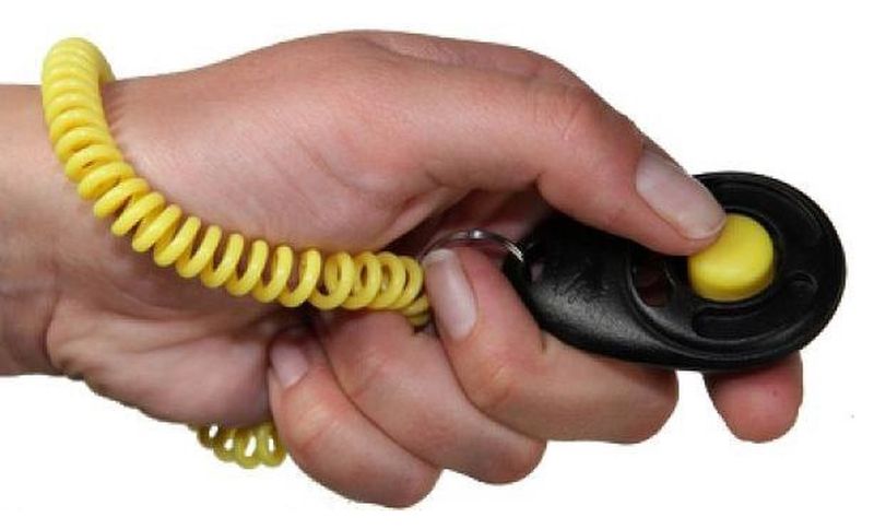 Starmark Clicker Pro Training Deluxe