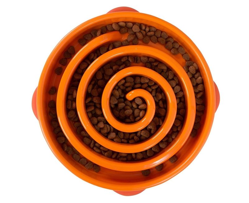 Fun Feeder Slo Bowl Oranje Small