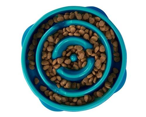 Fun Feeder Slo Bowl Teal Large