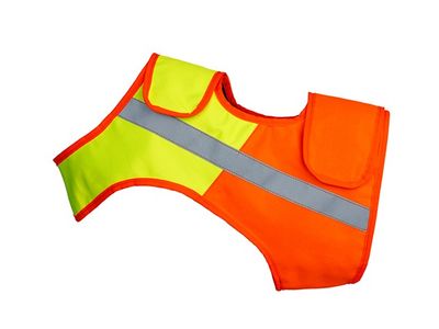 Mystique Veiligheidsvest