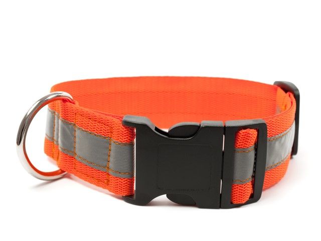 Mystique Reflecterende Halsband Met Gesp