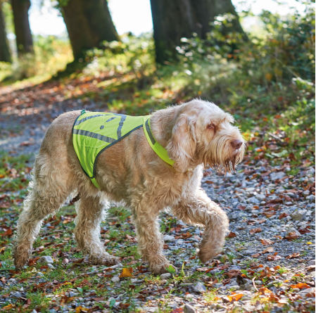Hunter Veiligheidsvest Neon Geel
