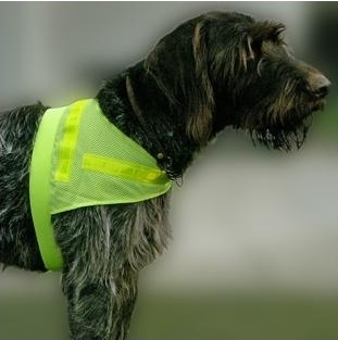 Scotchlite Reflectorvest