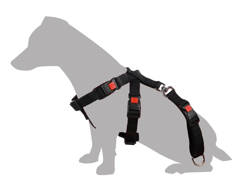 Flamingo Auto Harnas Duma