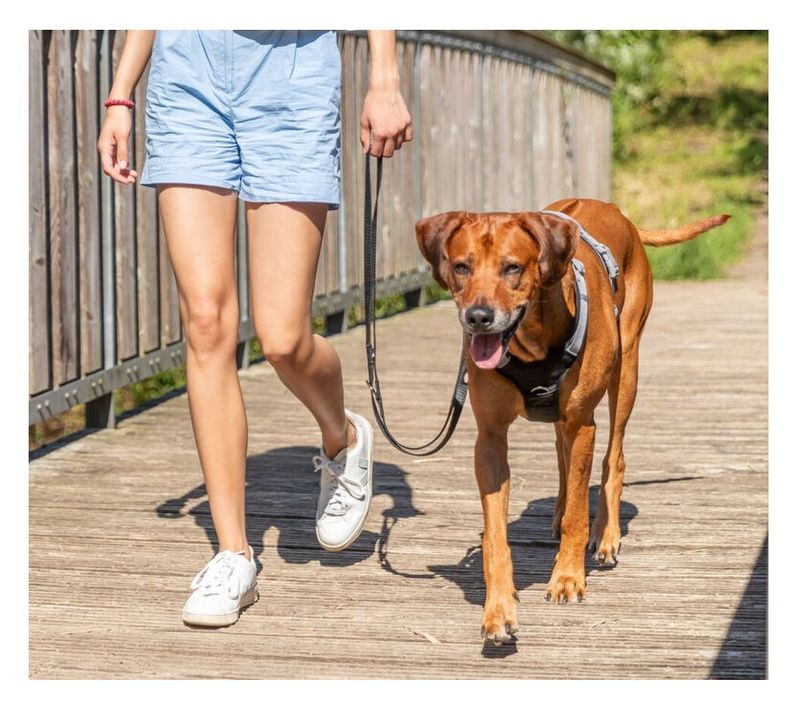 Trixie Hondentuig Premium Active Rood