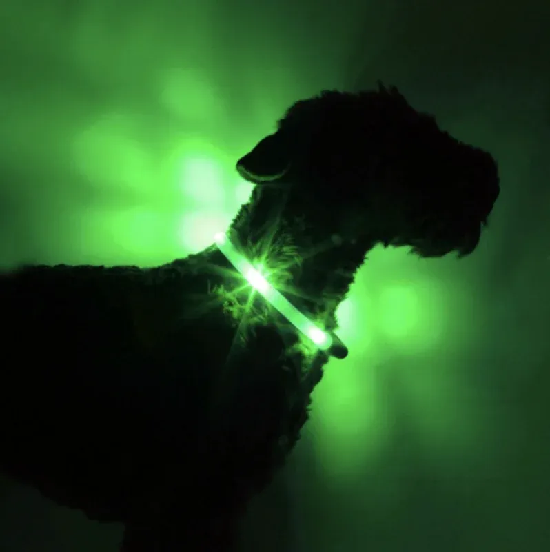 Leuchtie Halsband LED Neon Groen