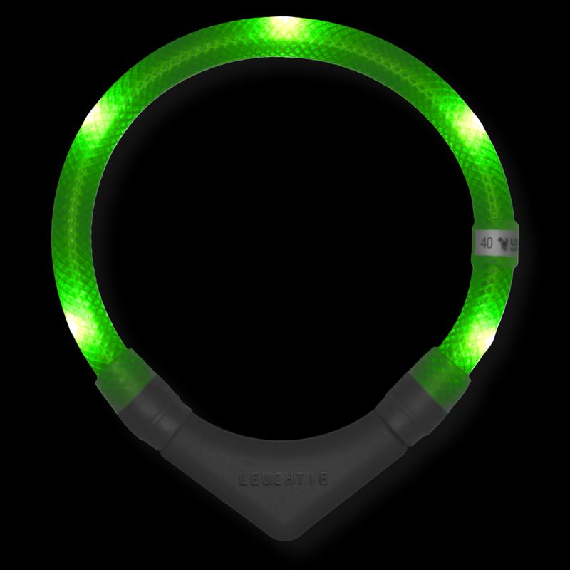 Leuchtie Halsband LED Neon Groen