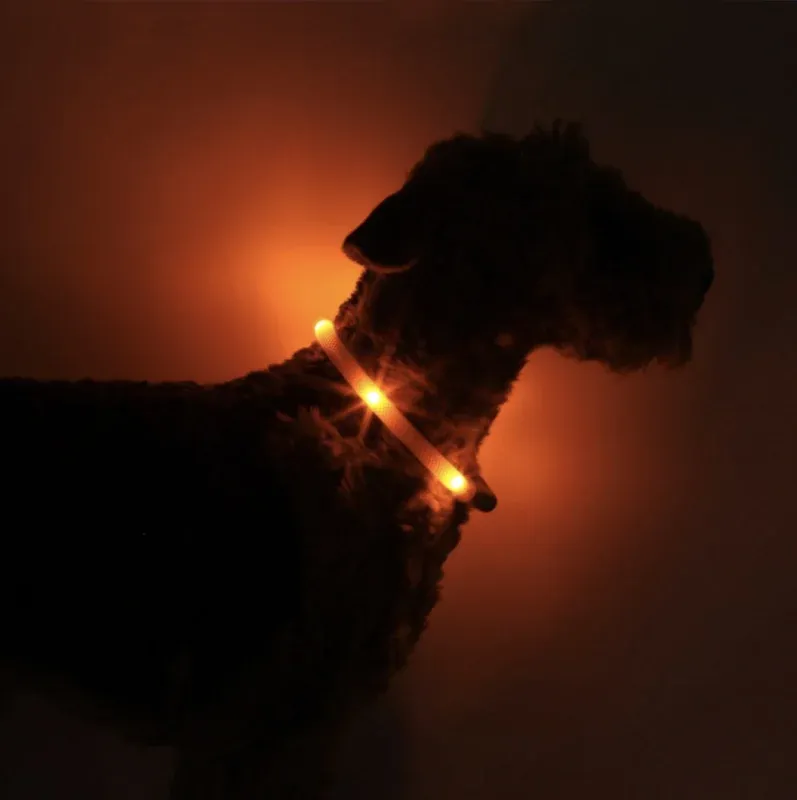 Leuchtie Halsband LED Sunset Oranje