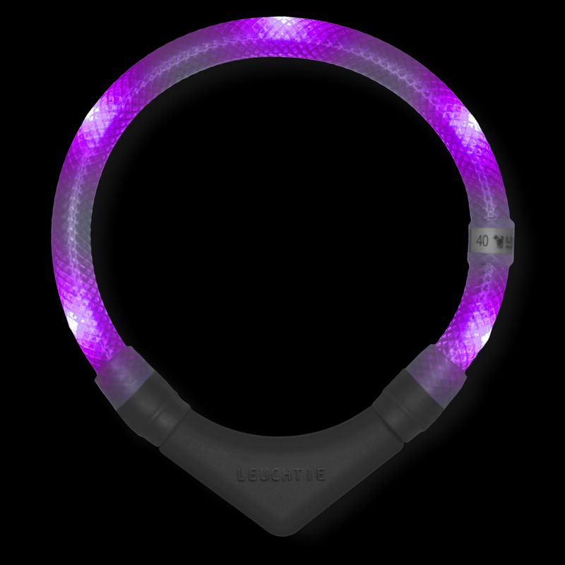 Leuchtie Halsband LED Lavendel Paars