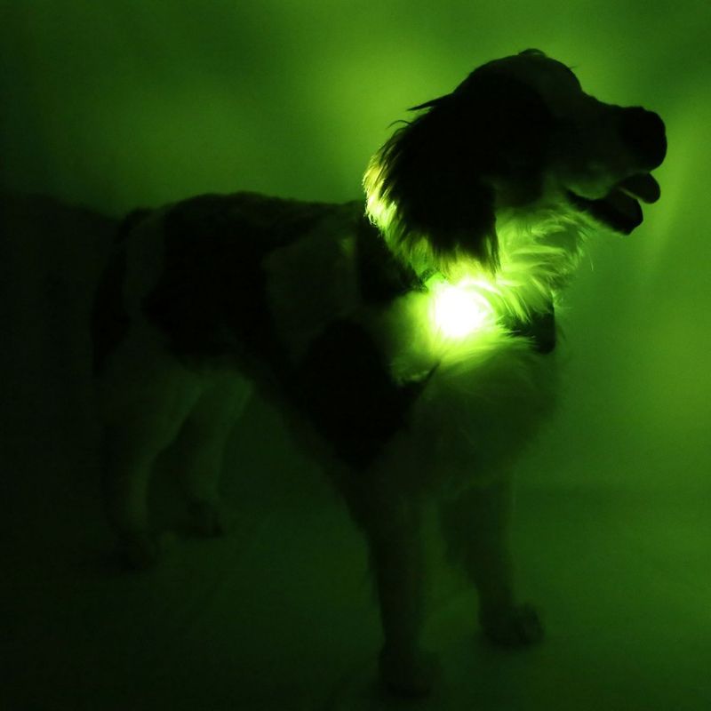 Leuchtie Halsband LED Easy Charge Neon Groen