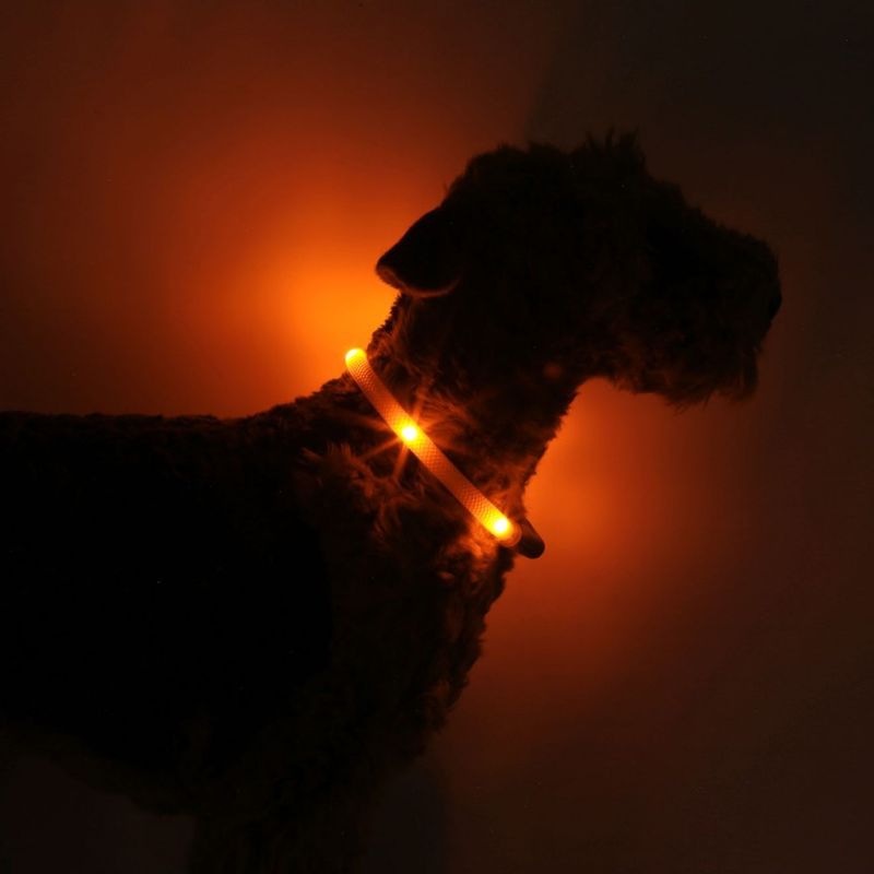 Leuchtie Halsband LED Easy Charge Sunset Oranje