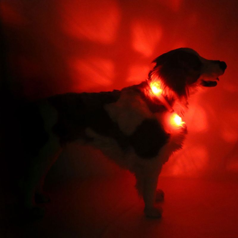 Leuchtie Halsband LED Easy Charge Rood