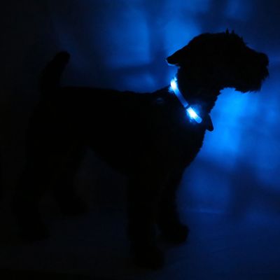 Leuchtie Halsband LED Easy Charge Blauw