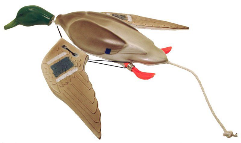 Dokken's Dead Fowl Duck Wings
