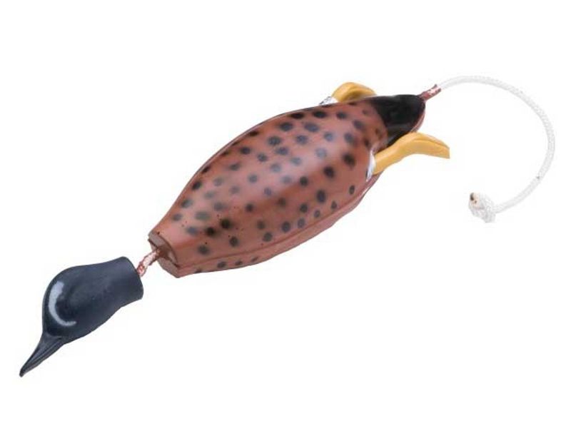 Dokken's Dead Fowl Bluewing Teal