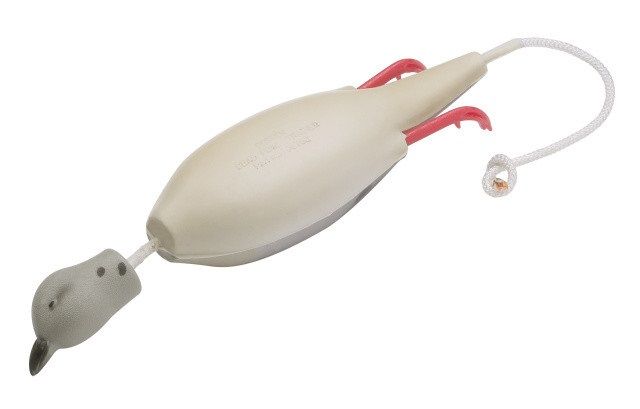 Dokken's Dead Fowl Mourning Dove