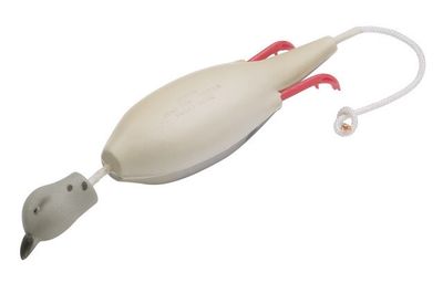 Dokken's Dead Fowl Mourning Dove