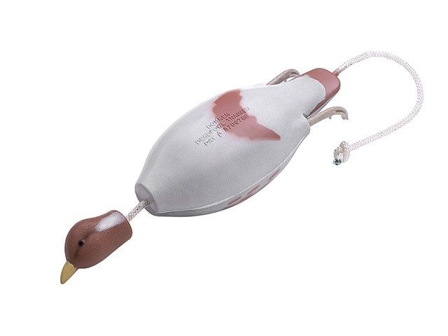 Dokken's Dead Fowl Hungarian Partridge