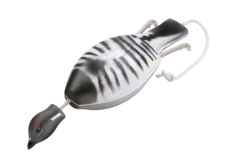 Dokken's Dead Fowl Spruce Grouse