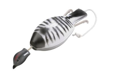 Dokken's Dead Fowl Spruce Grouse