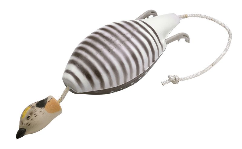 Dokken's Dead Fowl Prairie Chicken