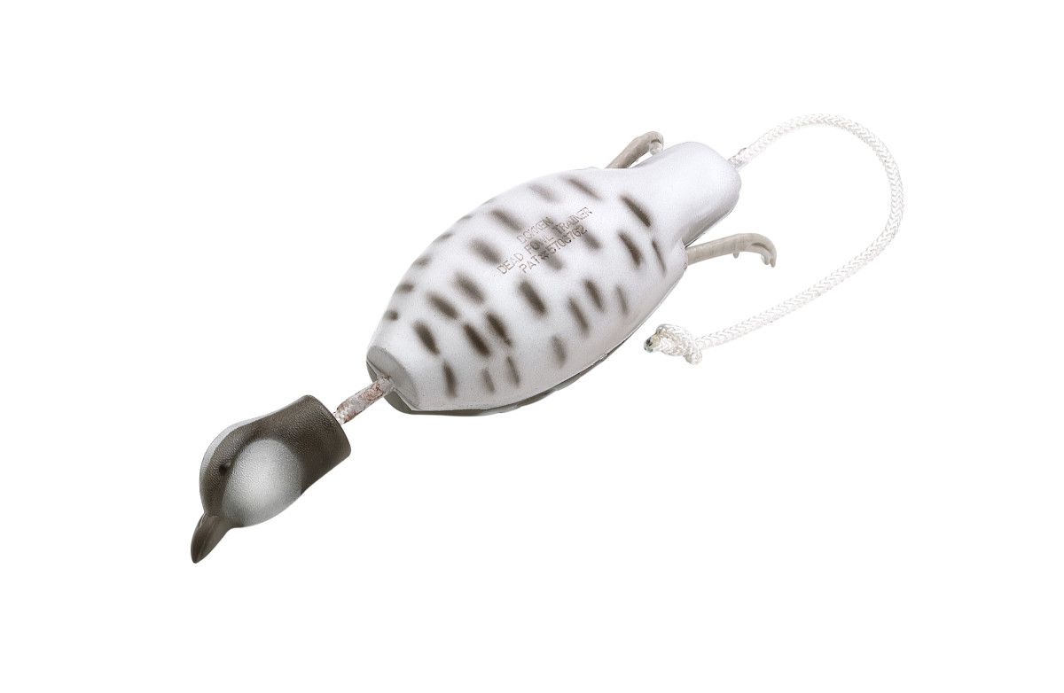 Dokken's Dead Fowl Bobwhite Quail