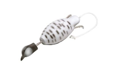 Dokken's Dead Fowl Bobwhite Quail