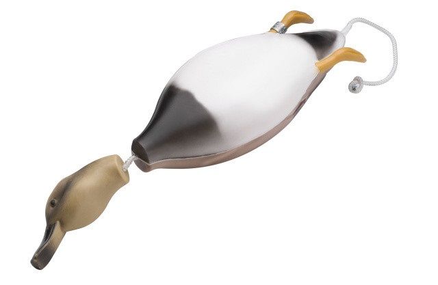 Dokken's Dead Fowl Gadwall