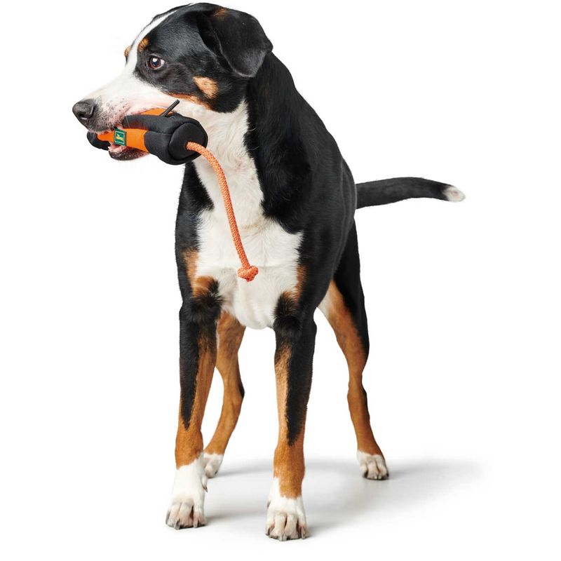 Hunter Trainer Snack Dummy Met Touw Medium (20CM)