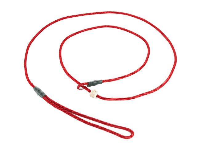 Mystique Moxon Leiband Field Trial Nylon 4MM Rood