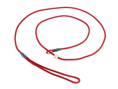 Mystique Moxon Leiband Field Trial Nylon 4MM Rood