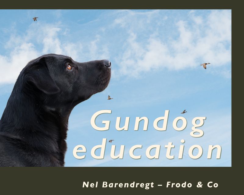 Gundog Education (Nel Barendregt - EN)