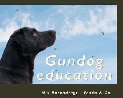 Gundog Education (Nel Barendregt - EN)