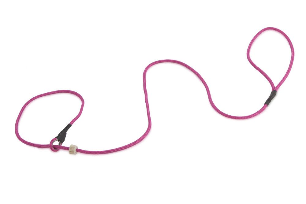 Firedog Moxon Leiband Classic Nylon 5MM Roze