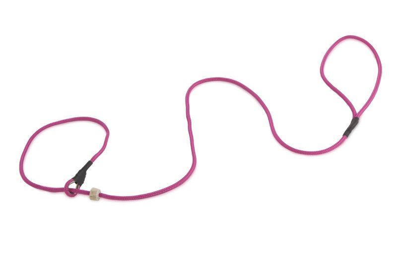 Firedog Moxon Leiband Classic Nylon 5MM Roze