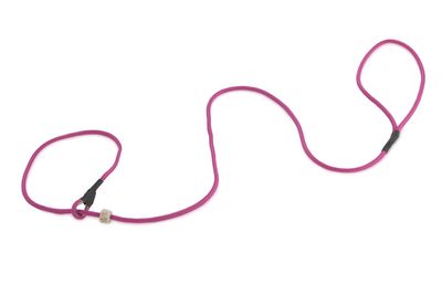 Firedog Moxon Leiband Classic Nylon 5MM Roze